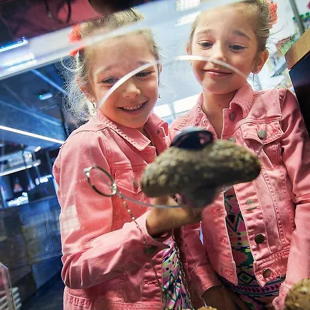 Roompot Strandpark Duynhille Kompleks wypoczynkowy